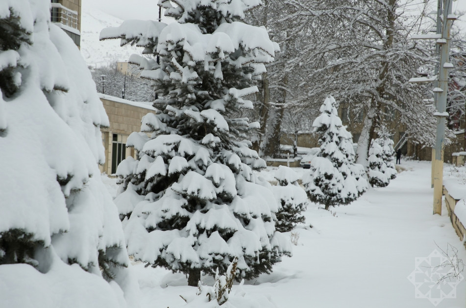 News about - In Photos: Captivating winter scenery of Hadrut