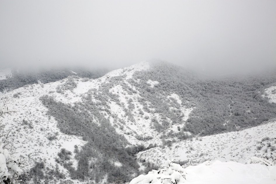 News about - In Photos: Captivating winter scenery of Hadrut