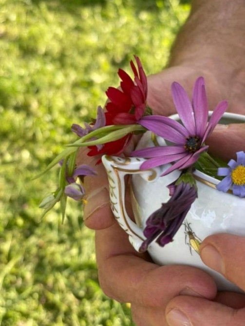 News about - First Vice-President Mehriban Aliyeva makes another post from Karabakh (VIDEO)