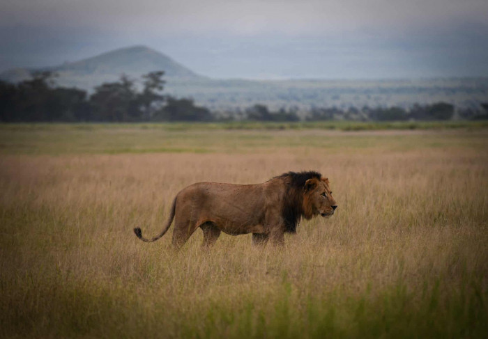 News about - In Photos: Week in wildlife around the world