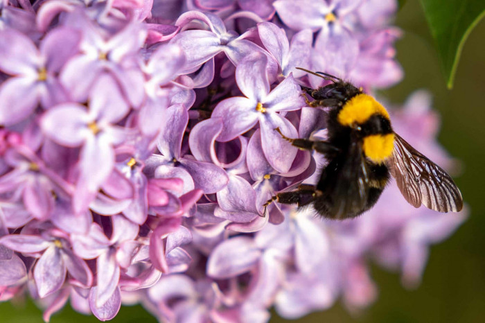 News about - In Photos: Week in wildlife around the world