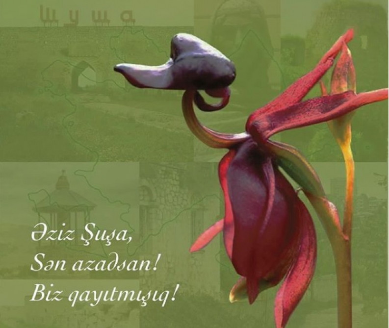 News about - Mehriban Aliyeva: We have returned our Shusha! I congratulate all of you on this significant historic event