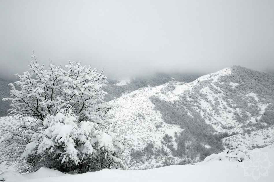 News about - In Photos: Captivating winter scenery of Hadrut