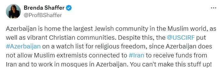 News about - Brenda Shaffer: Azerbaijan home to largest Jewish community in Muslim world