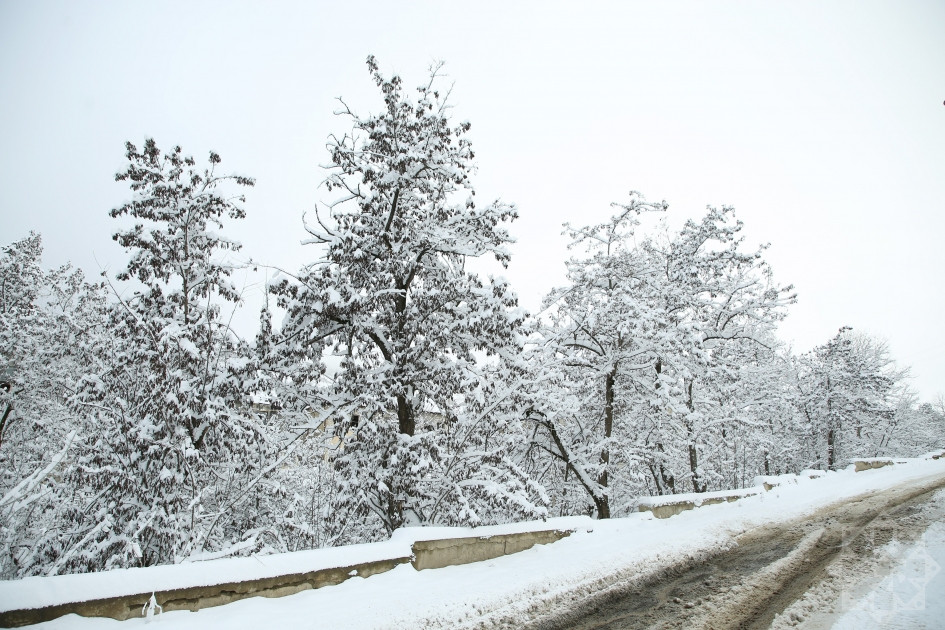 News about - In Photos: Captivating winter scenery of Hadrut