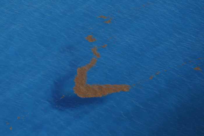 News about - In Photos: Our amazing Earth seen from above