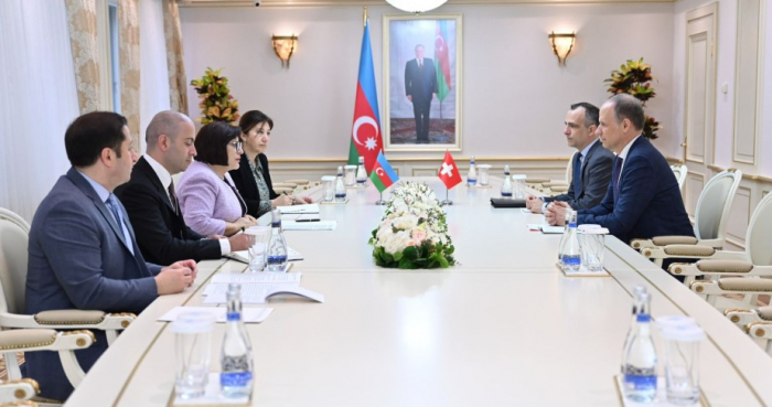 Azerbaijani speaker, Swiss ambassador discuss Karabakh reconstruction efforts