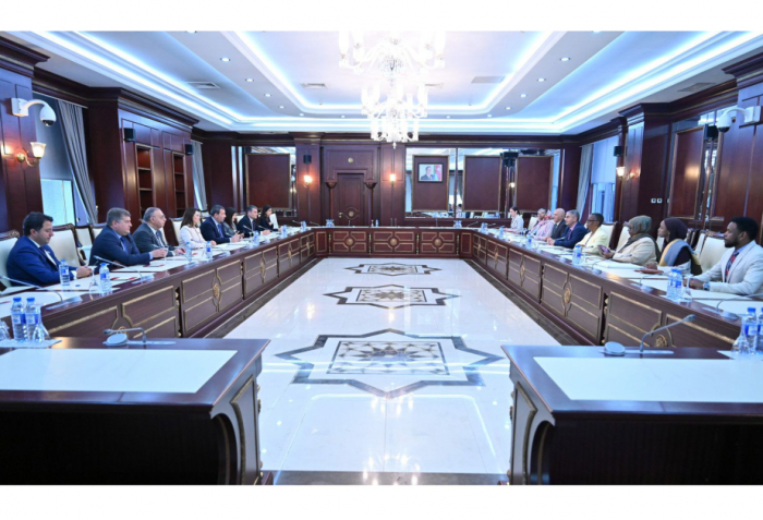 Various aspects of Azerbaijan-US bilateral agenda discussed 