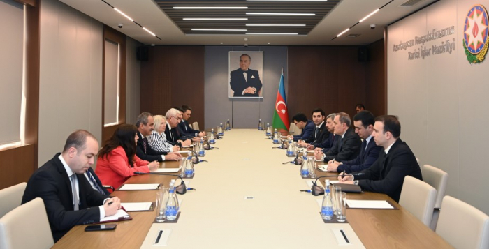 Azerbaijani FM meets with GNAT Committee chair 