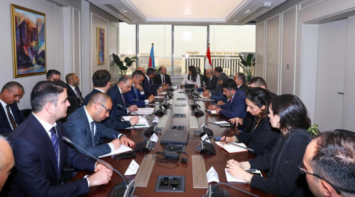 Azerbaijan, Egypt discuss prospects for relations 
