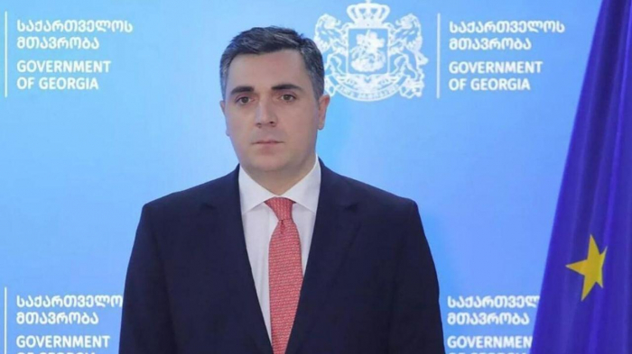 FM: Georgia highly values its reliable strategic partnership with Azerbaijan