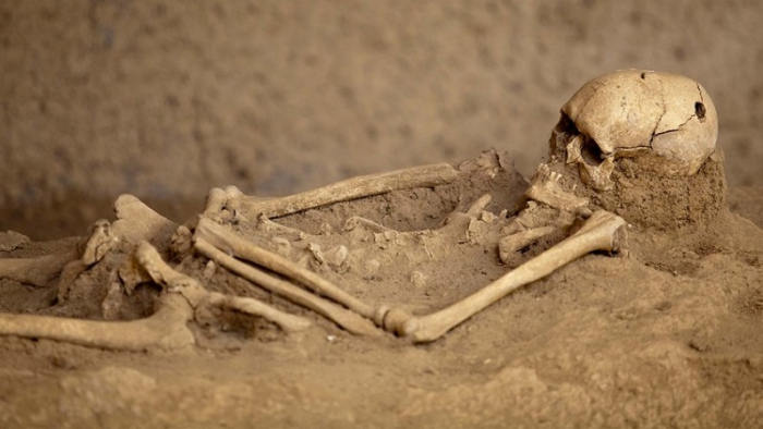  Azerbaijan launches investigation over bone fragment discovery in liberated Gubali 