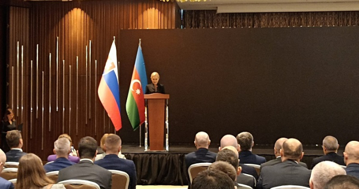  Slovakia sees Azerbaijan as valued partner - deputy premier 