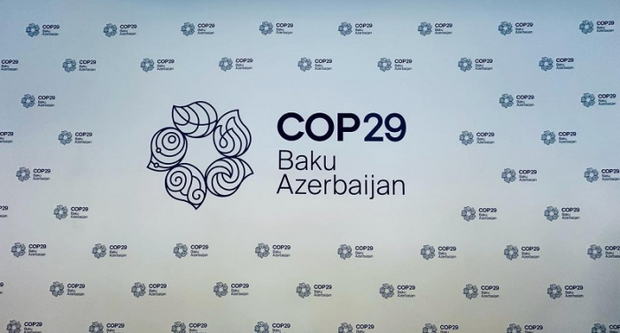  President Aliyev invites Turkish counterpart to take part in COP29 