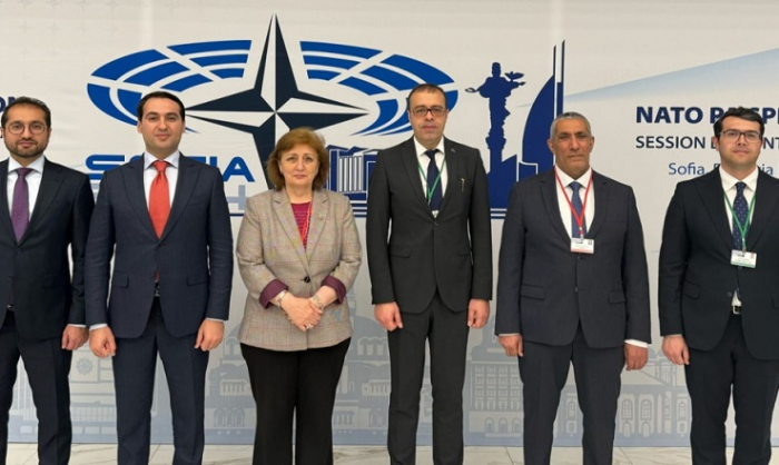 Azerbaijani representatives attend NATO PA session