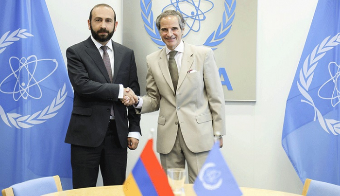 Armenia, IAEA mull further operation of Metsamor NPP