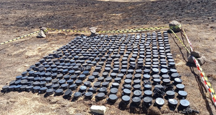  Over 13,000 landmines defused in Azerbaijan's liberated territories so far -  VIDEO 