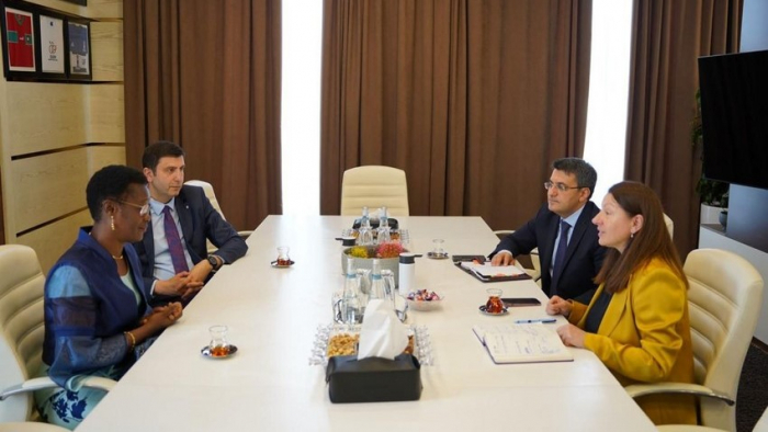 Azerbaijan and Cameroon explore sports cooperation 