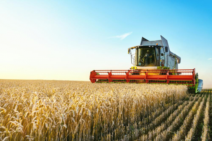 Italy plans to boost export of agricultural machinery to Azerbaijan 