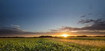 Food and fiber production adds $18 billion to Georgia’s economy