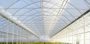 Azerbaijan interested in Dutch companies' participation in modernization of local greenhouses 