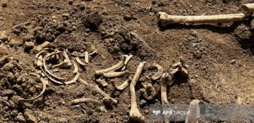  Azerbaijan discovers bone fragments in liberated Malibeyi village 
