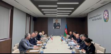 Azerbaijan, Georgia FMs conduct political consultations 