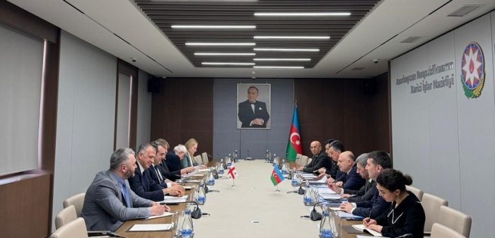 Azerbaijan, Georgia FMs conduct political consultations 
