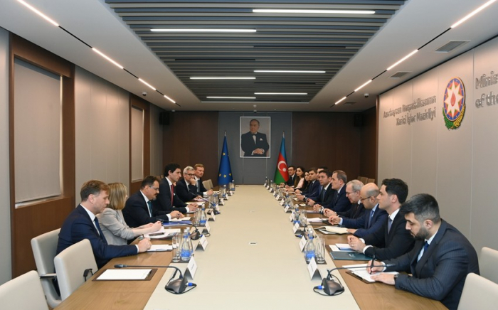 Azerbaijani FM briefs EU commissioner on preparations for COP29 