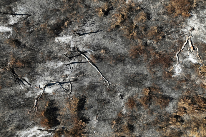 News about - In Photos: Wildfire scorches world's largest wetland