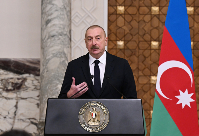 President: Azerbaijan and Egypt actively work within international organizations 