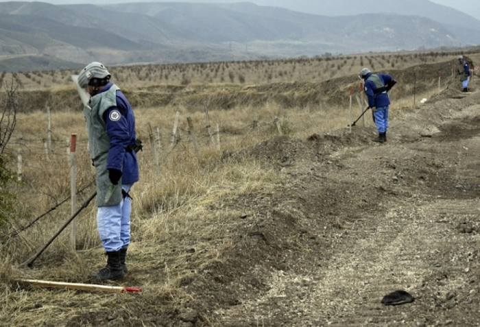 ANAMA: 1362.3 hectares of territory cleared of mines and UXOs over past week 