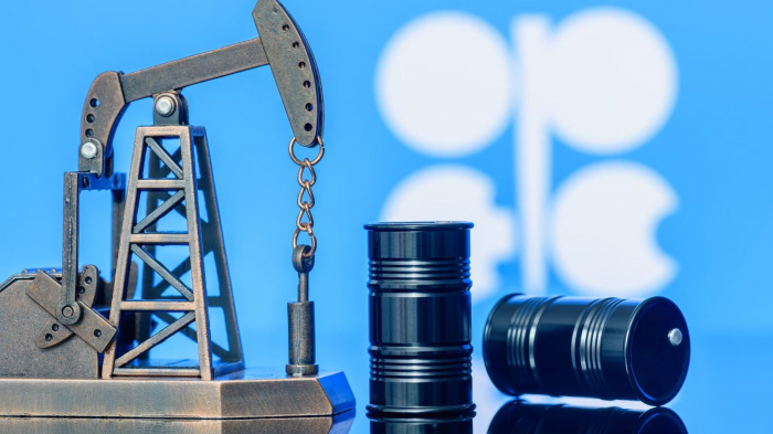OPEC maintains forecast for global oil demand growth in 2024, 2025 