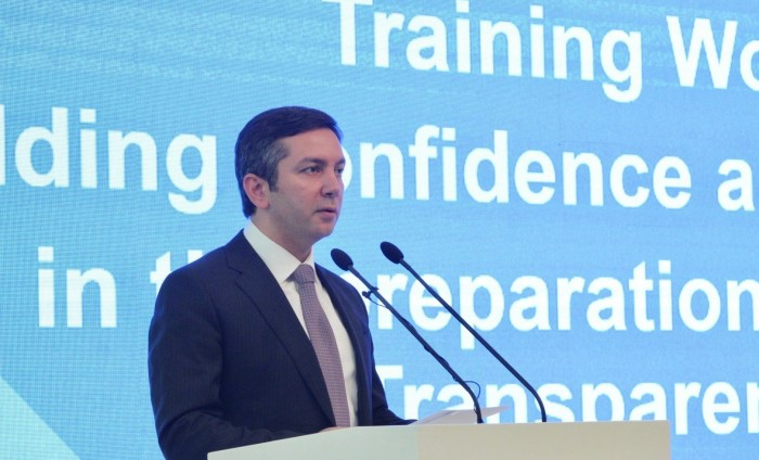 Azerbaijan to complete all COP29-related work on time - deputy FM 