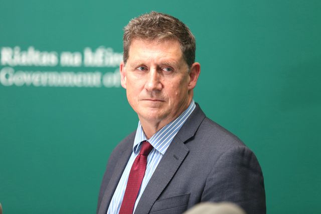 Head of Ireland's junior coalition Green Party to step down