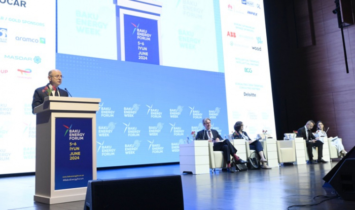 Azerbaijan can diversify Europe's energy supply through green energy, hydrogen: Minister