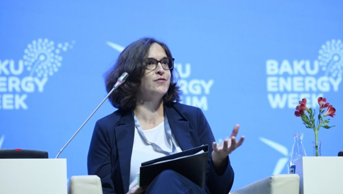 Slovenia keen on expanding energy cooperation with Azerbaijan 