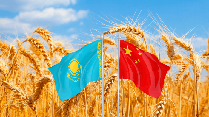 Kazakhstan boosts grain exports to China 