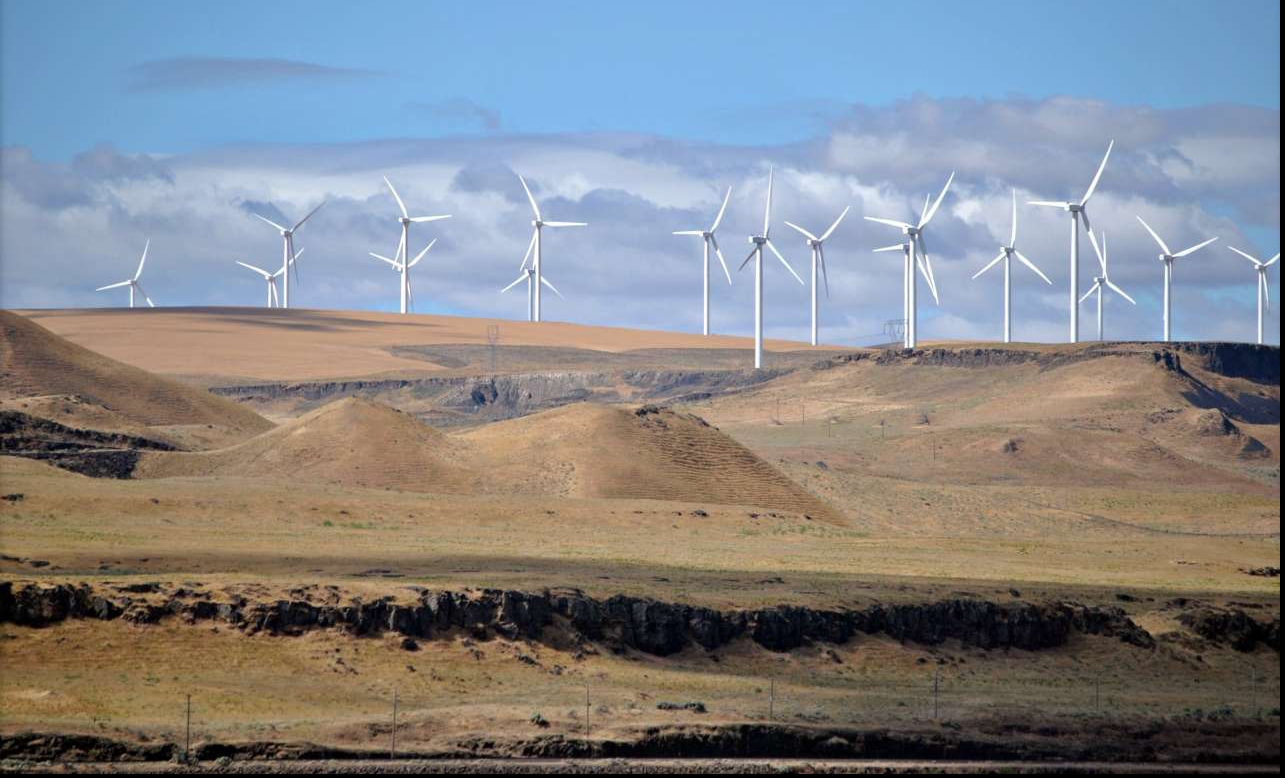 Major wind power plant inaugurates in eastern Iran 