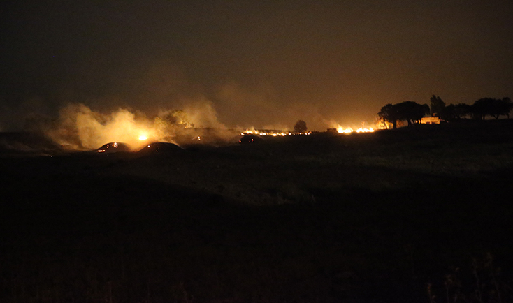 At least five dead as wildfires hit southeastern Türkiye - VIDEO