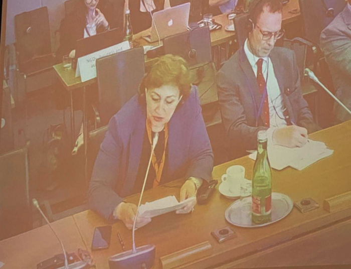 2024/06/1719393478.jpg + Western Azerbaijanis’ right to return highlighted at OSCE meeting News about - Western Azerbaijanis’ right to return highlighted at OSCE meeting