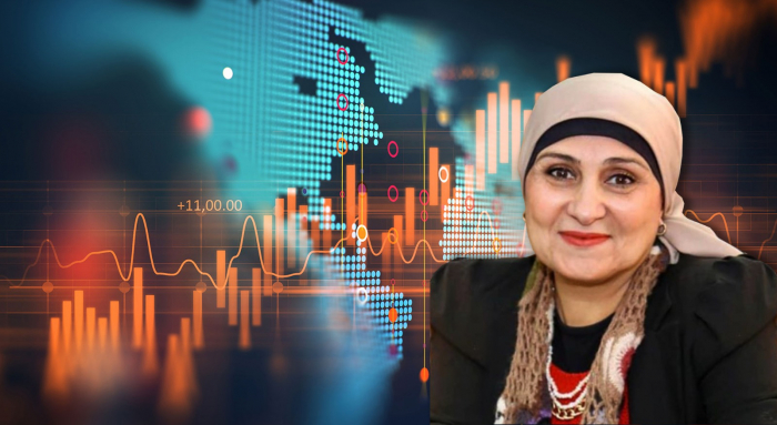 VIDEO: Azerbaijan, Egypt set to boost trade following high-level visits