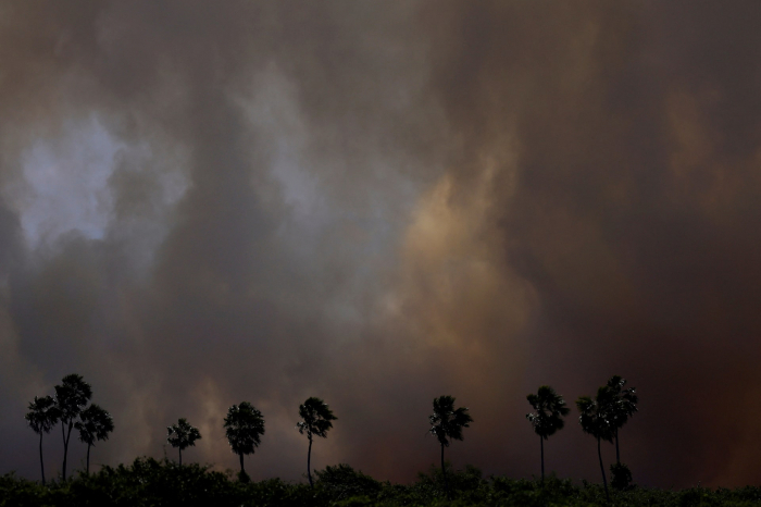 News about - In Photos: Wildfire scorches world's largest wetland