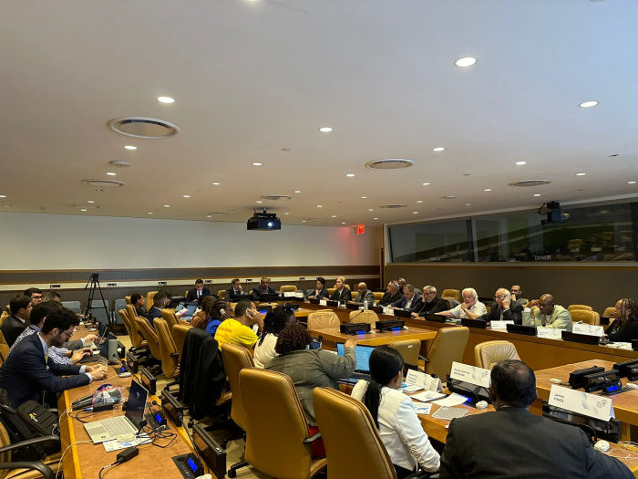 News about - BIG-organized conference at UN headquarters calls for end to colonialism 