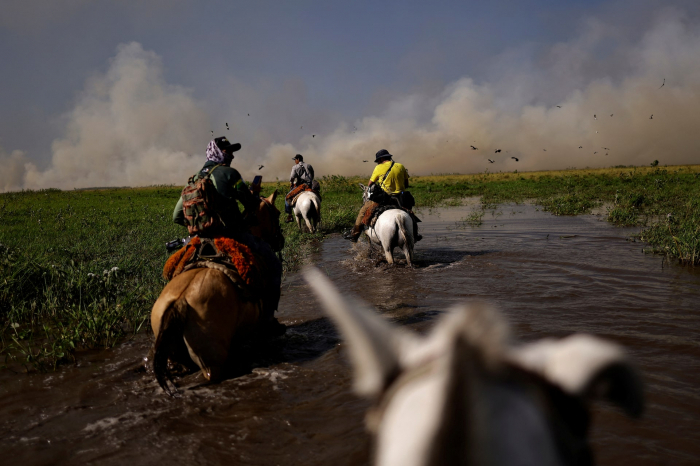 News about - In Photos: Wildfire scorches world's largest wetland