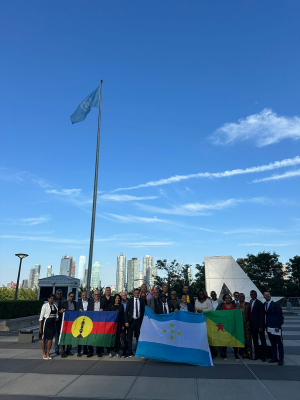 News about - BIG-organized conference at UN headquarters calls for end to colonialism 