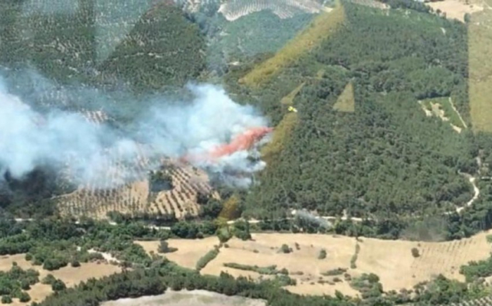 Wildfire erupts in Izmir forests 