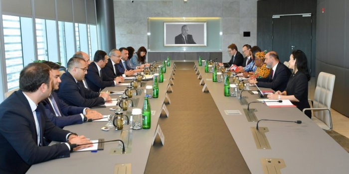 Azerbaijan, WTO explore ways of diversifying economy 