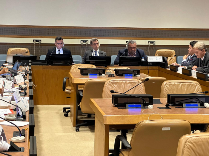 News about - BIG-organized conference at UN headquarters calls for end to colonialism 