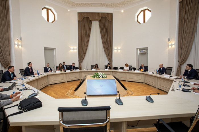 Azerbaijan, EU mull energy partnership and cooperation within COP29 